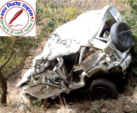 बारात अनियंत्रित होकर गहरी खाई में जा गिरी !