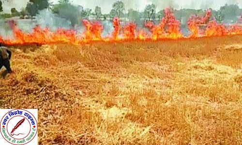 गेहूँ की फसल में अज्ञात कारणों से लग रही आग !