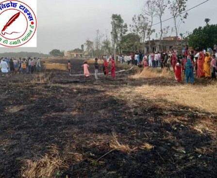 श्यामदेवुरवा में किसानों को बड़ा नुकसान ! भीषण आग में पांच एकड़ गेहूं की फसल जली, समय से दमकल नहीं पहुंची, ग्रामीणों ने बाल्टी से बुझाई आग !