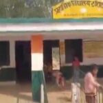 प्राथमिक विद्यालय में बच्चों से झाड़ू लगवाने का वीडियो वायरल ! शिक्षा विभाग ने लिया संज्ञान !
