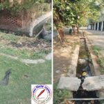 अवासीय परिसर मे नालियो मे गंदगी का अंबार, जल निकासी की बड़ी परेशानी !