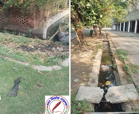 अवासीय परिसर मे नालियो मे गंदगी का अंबार, जल निकासी की बड़ी परेशानी !