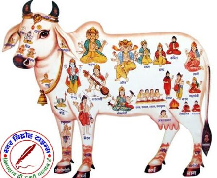 राष्ट्रीय गौ रक्षक सेना भारत के राष्ट्रीय अध्यक्ष ने की गौ माता पर चर्चा !