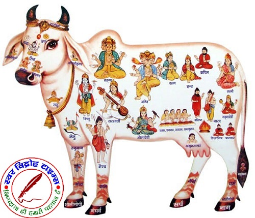 राष्ट्रीय गौ रक्षक सेना भारत के राष्ट्रीय अध्यक्ष ने की गौ माता पर चर्चा !