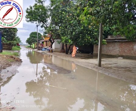 फरेंदा क्षेत्र पोखरभिन्डा में परेशानी बारिश के कारण सड़क पर जलजमाव, लोगों को परेशानी !
