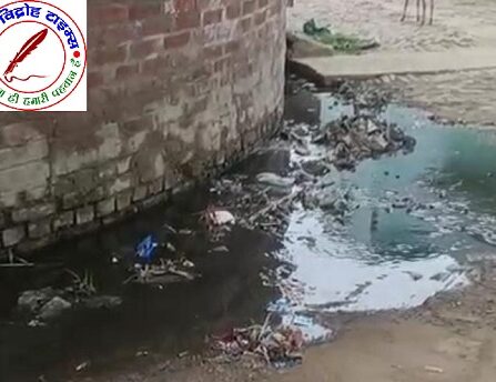 ग्राम पंचायत में गंदगी का तितरखा ! निवासी परेशान !