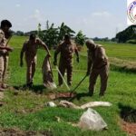 कच्ची शराब के खिलाफ कोल्हुई पुलिस की छापेमारी ! कई कुंतल लहन किया गया नष्ट !