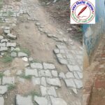 नगर पंचायत पीपीगंज में गड्ढे व जल जमाव की समस्या, सभासद ने लगाये आरोप !