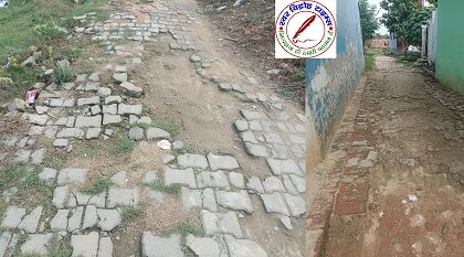 नगर पंचायत पीपीगंज में गड्ढे व जल जमाव की समस्या, सभासद ने लगाये आरोप !