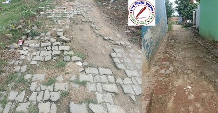 नगर पंचायत पीपीगंज में गड्ढे व जल जमाव की समस्या, सभासद ने लगाये आरोप !