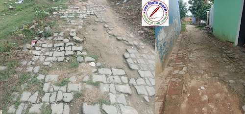 नगर पंचायत पीपीगंज में गड्ढे व जल जमाव की समस्या, सभासद ने लगाये आरोप !