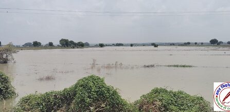 चुनार क्षेत्र के गौरैया गांव में किसानों के खेत में पहुंचा पानी !