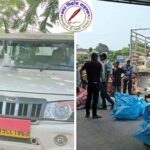 सतना में GST टीम की बड़ी कार्यवाही, बिना बिल गुटखा ले जा रहा ट्रक जब्त !