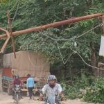 33000 केबी विद्युत पोल पर गिरा चिलबिल का पेड़ ! बड़ा हादसा टला आपूर्ति बाधित ! ठेकेदार कि लापरवाही बड़ा हादसा होने से बचा ! लापरवाही ! सड़क चौड़ीकरण के लिए काटा जा रहा था पेड़ !