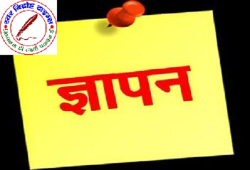 लेखपाल संघ ने अपनी मांगों को लेकर एडीएम वित्त सौंपा ज्ञापन !