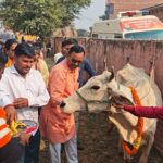 पंडित दीनदयाल पशु आरोग्य मेला आयोजित !