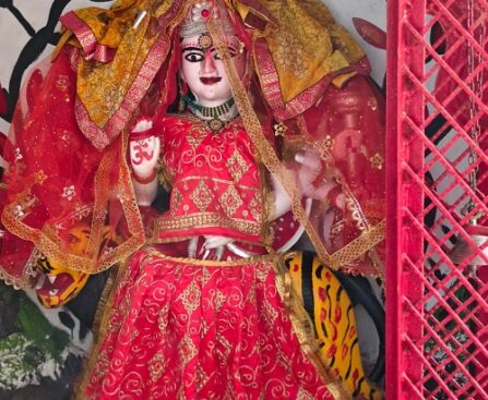 नवरात्रि के प्रथम दिन भक्तों की उमड़ी भीड़ !