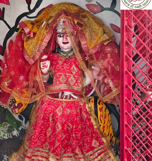 नवरात्रि के प्रथम दिन भक्तों की उमड़ी भीड़ !