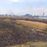 महराजगंज में आग का तांडव, गेहूं की फसल जलकर खाक !