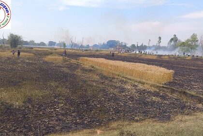 महराजगंज में आग का तांडव, गेहूं की फसल जलकर खाक !