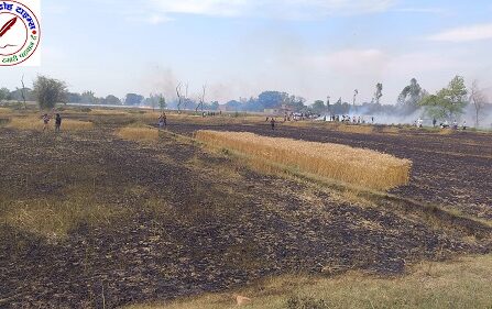 महराजगंज में आग का तांडव, गेहूं की फसल जलकर खाक !