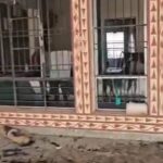 पराली की आग ने मचाई भारी तबाही ! अस्पताल में लाखों के उपकरण, दवाएं व रिकॉर्ड राख !